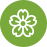 passion flower icon